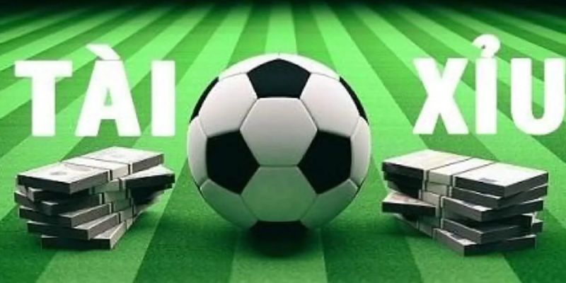 Học cách soi kèo tài xỉu ngay